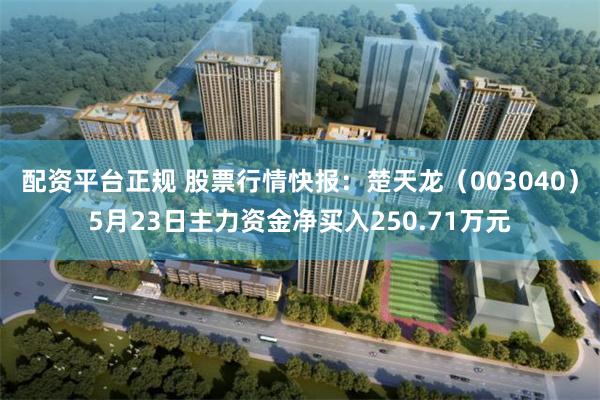 配资平台正规 股票行情快报：楚天龙（003040）5月23日主力资金净买入250.71万元
