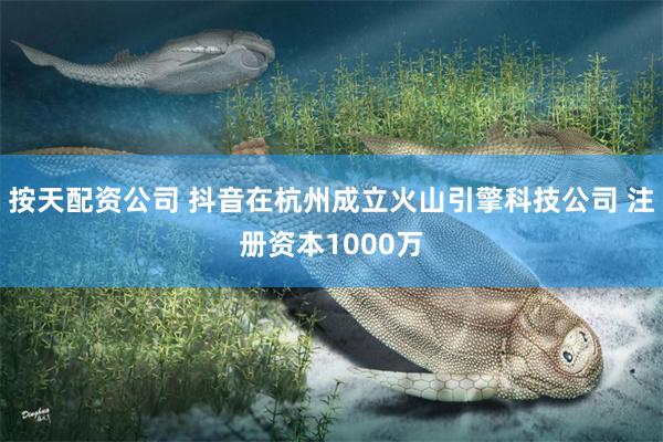 按天配资公司 抖音在杭州成立火山引擎科技公司 注册资本1000万