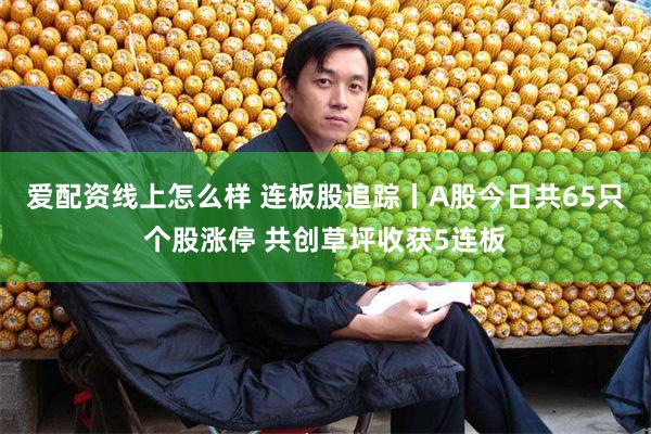 爱配资线上怎么样 连板股追踪丨A股今日共65只个股涨停 共创草坪收获5连板