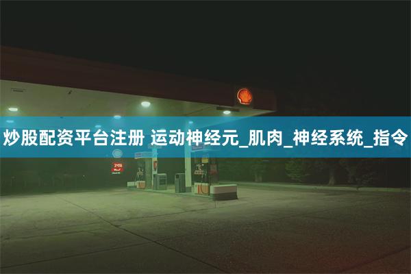 炒股配资平台注册 运动神经元_肌肉_神经系统_指令