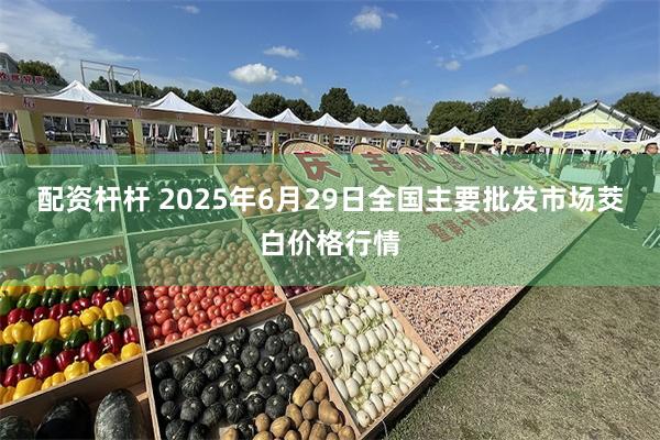 配资杆杆 2025年6月29日全国主要批发市场茭白价格行情